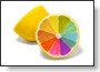 Pallette de couleur Web