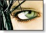 Format Bitmap