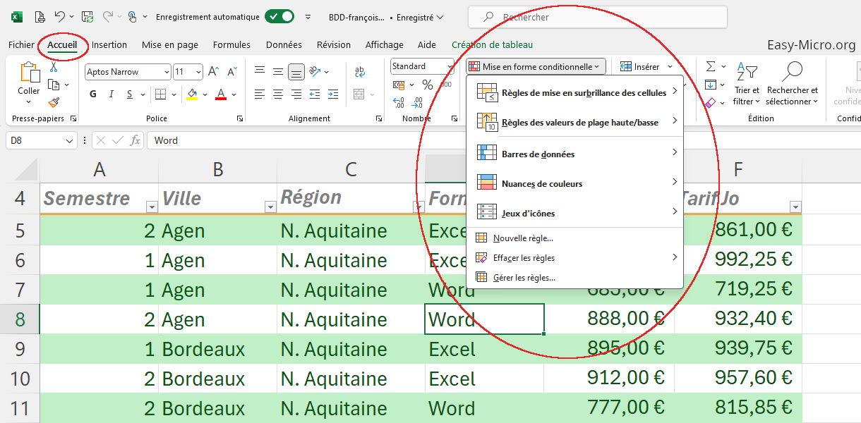 Mise en forme conditionnelle dans Excel