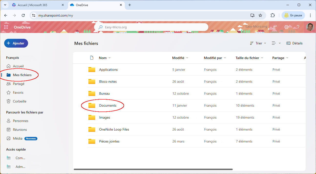 OneDrive sur la plateforme Microsoft 365