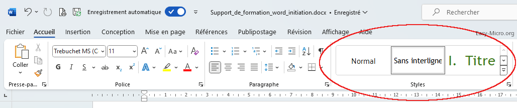 Styles Microsoft Word