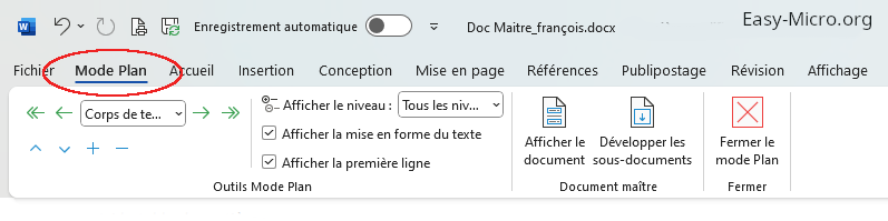 Mode plan du document maitre Word