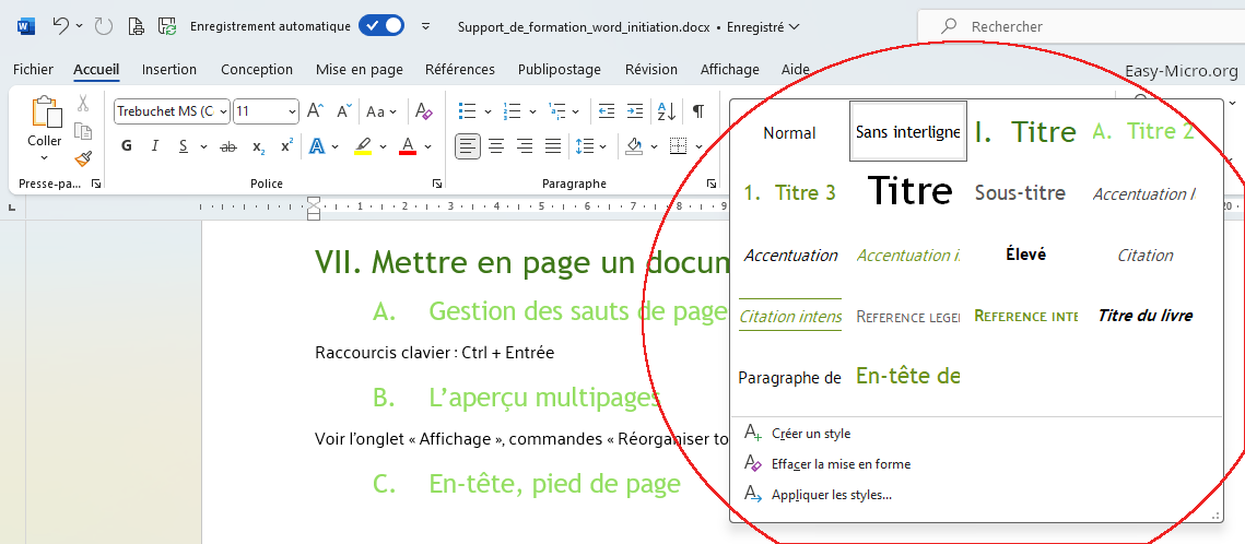 Styles Microsoft Word