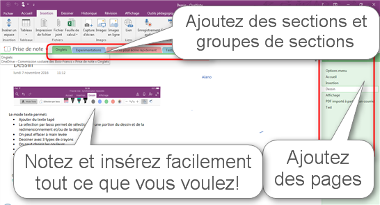 OneNote