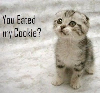 Tu as mangé mon cookie ?