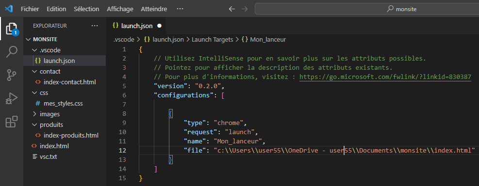 Visual Studio Code by Easy-Micro - Fichier launch.json