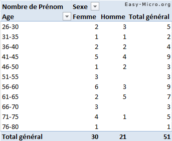 Rapport de Tableau Croisé Dynamique Excel