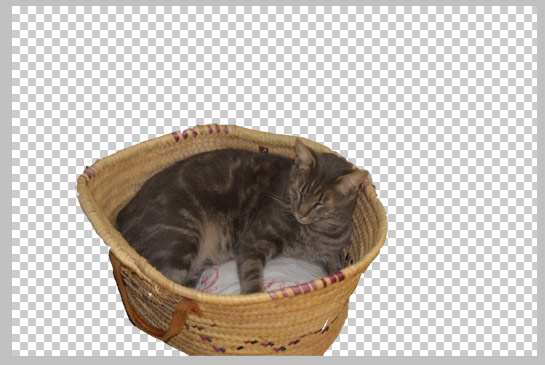 PhotoShop