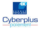 Cyber Plus