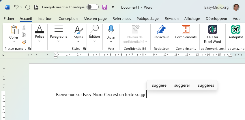 Fenêtre Word